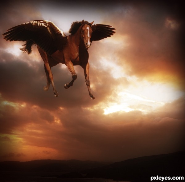 Flying Horse